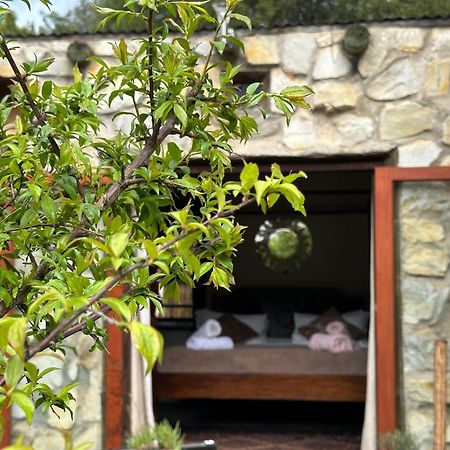 Stormsriver Backpackers Dijembe Stormsrivier Εξωτερικό φωτογραφία