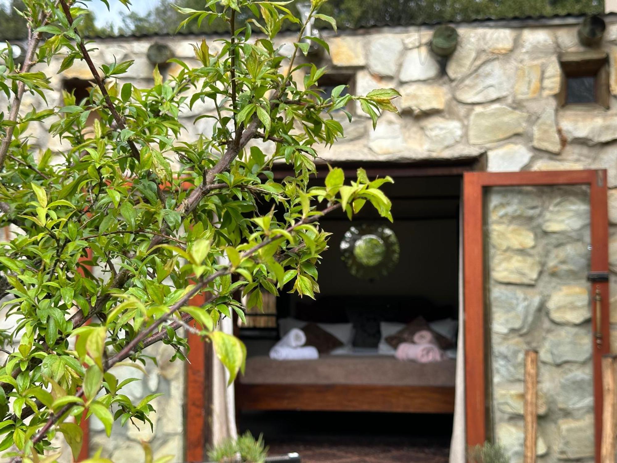 Stormsriver Backpackers Dijembe Stormsrivier Εξωτερικό φωτογραφία