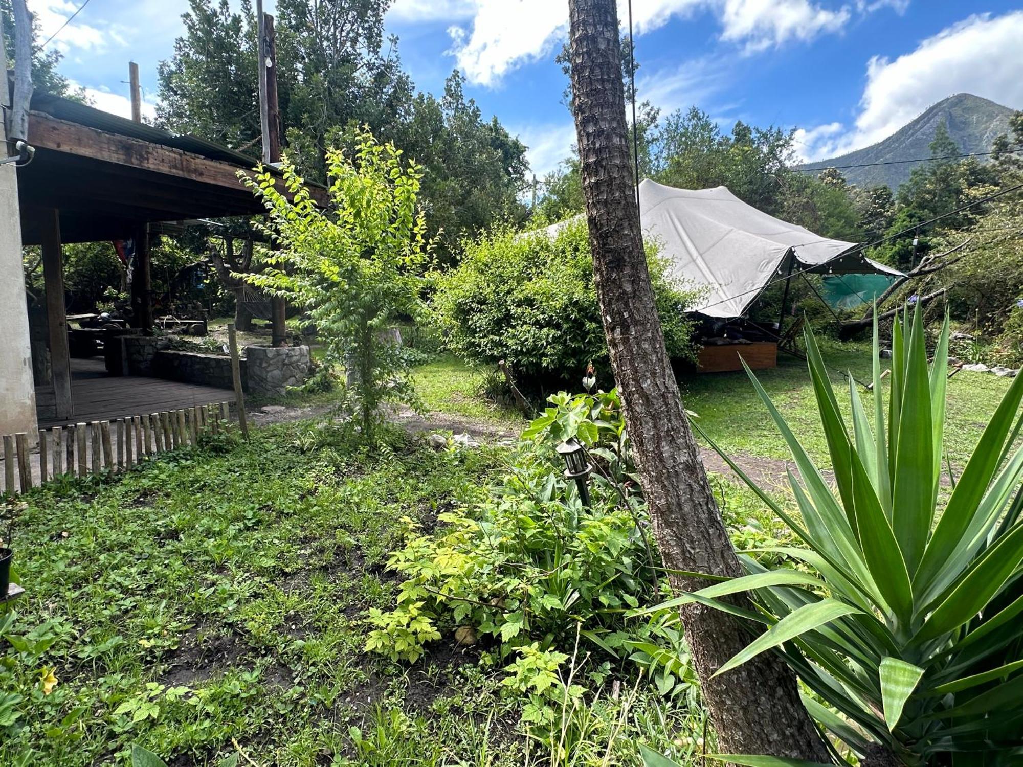 Stormsriver Backpackers Dijembe Stormsrivier Εξωτερικό φωτογραφία