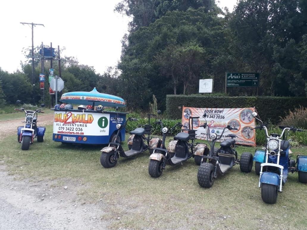 Stormsriver Backpackers Dijembe Stormsrivier Εξωτερικό φωτογραφία