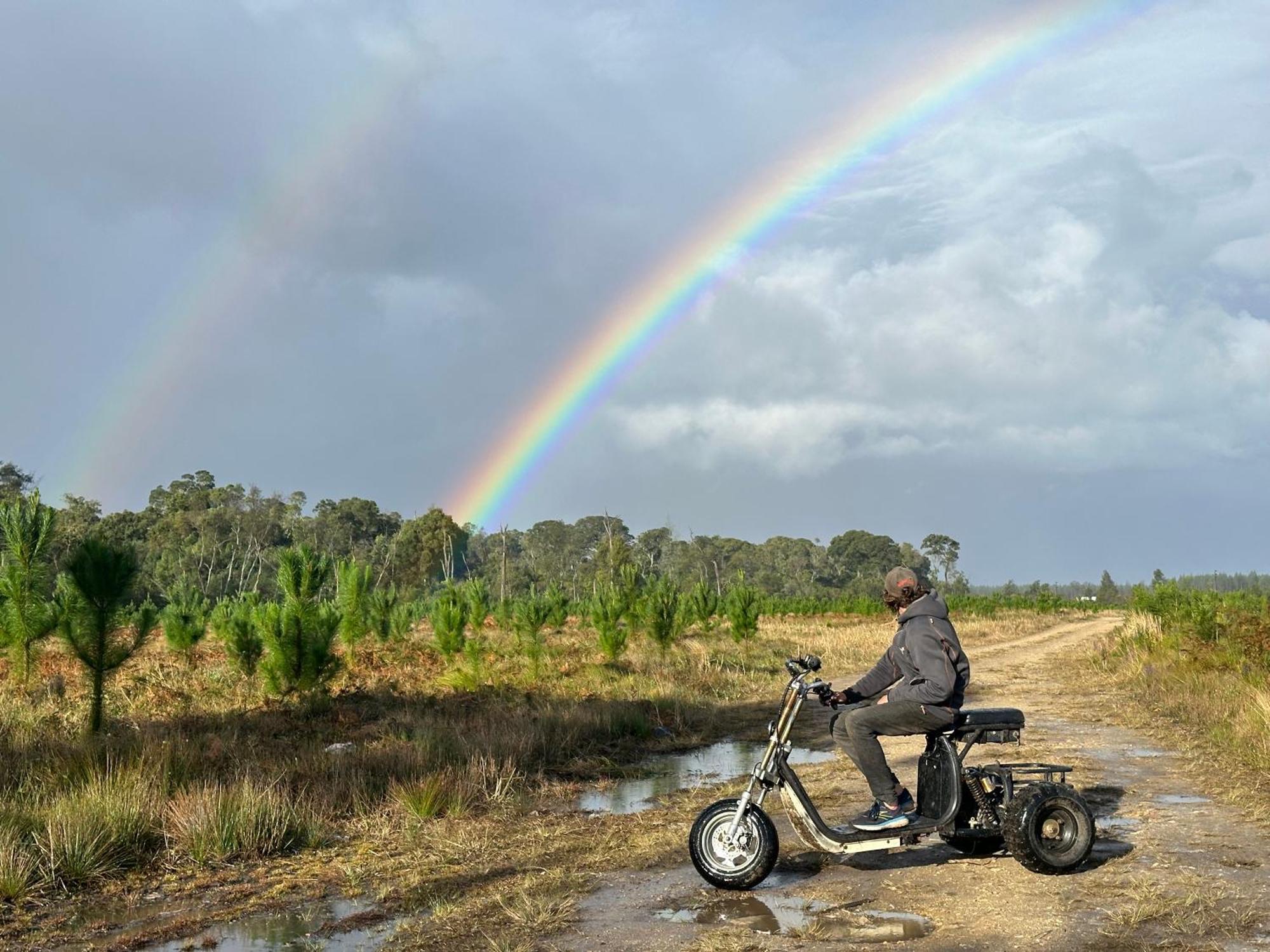 Stormsriver Backpackers Dijembe Stormsrivier Εξωτερικό φωτογραφία