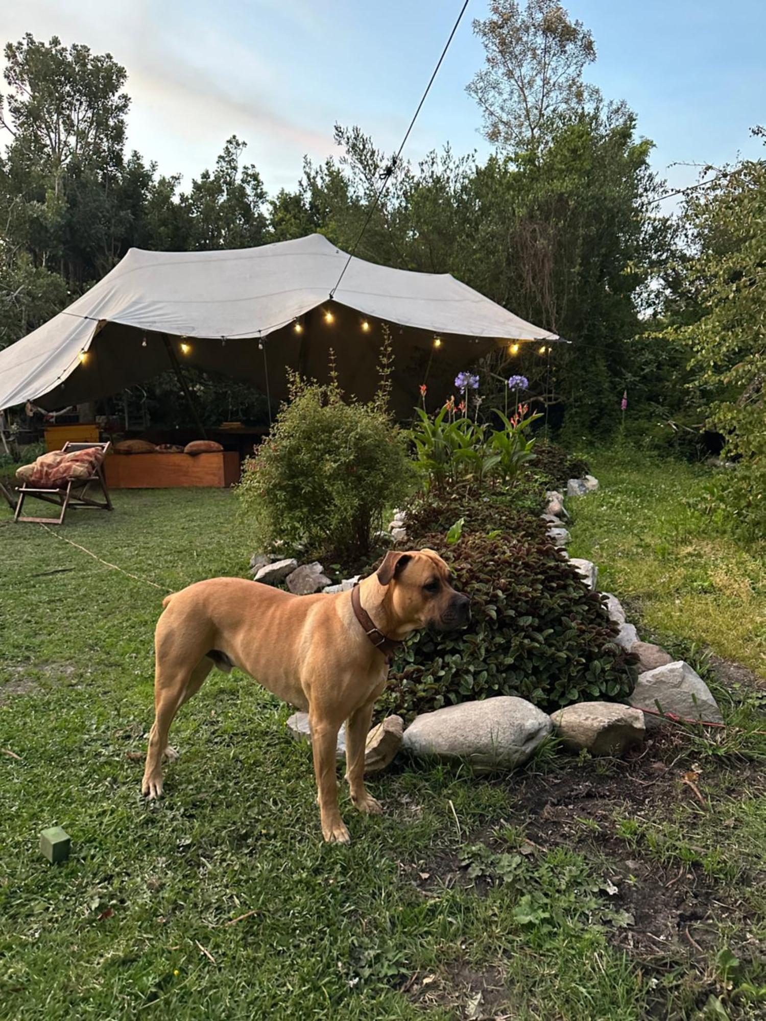 Stormsriver Backpackers Dijembe Stormsrivier Εξωτερικό φωτογραφία